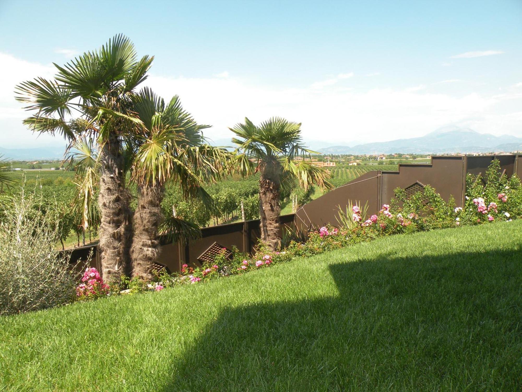 Bed and Breakfast Sweet Life Peschiera del Garda Exteriér fotografie